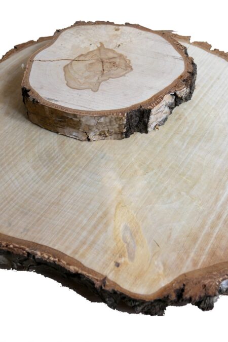 Birkenscheibe - groß