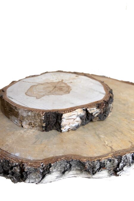 Birkenscheibe - mittel