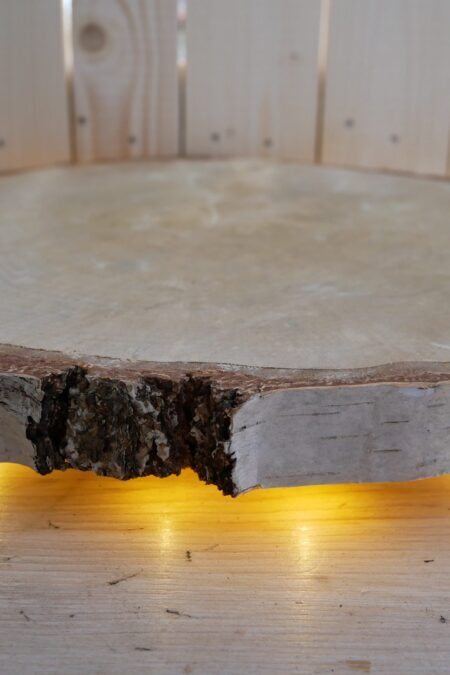 Birkenscheiben beleuchtet